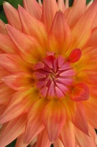 Cover of Peachy Pretty Dahlia Flower Up Close Journal