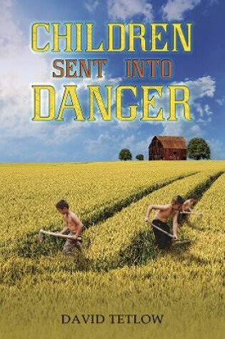 Cover of Children Sent into Danger