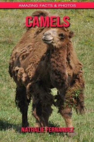 Cover of Camels