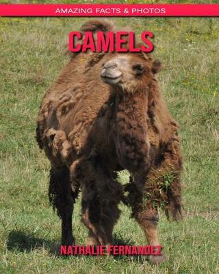 Book cover for Camels