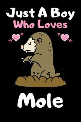 Book cover for Just a boy who loves mole