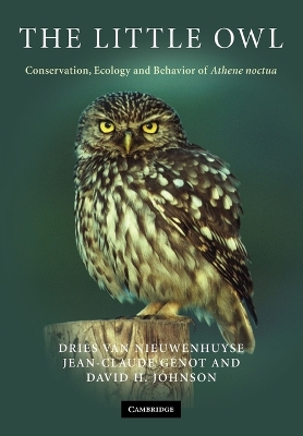 Book cover for The Little Owl