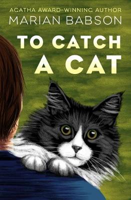 Book cover for To Catch a Cat