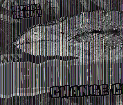 Cover of Chameleons Change Color!