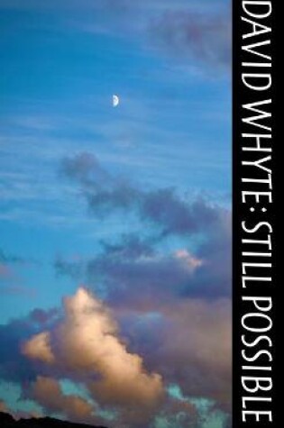 Cover of Still Possible