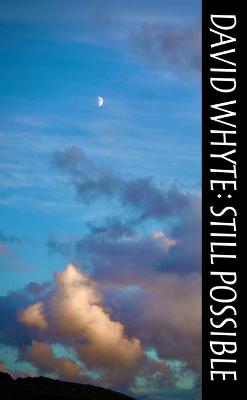 Book cover for Still Possible