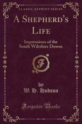 Book cover for A Shepherd's Life