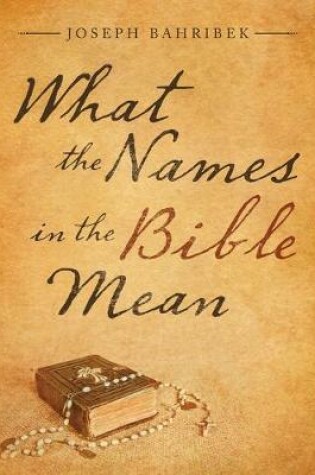 Cover of What the Names in the Bible Mean