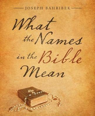 Book cover for What the Names in the Bible Mean