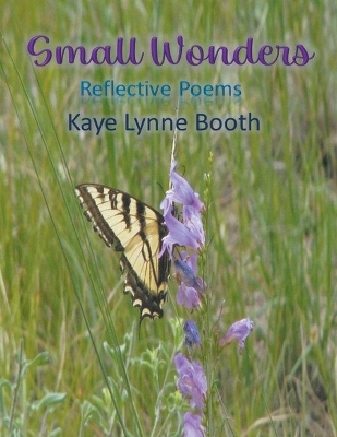 Book cover for Small Wonders