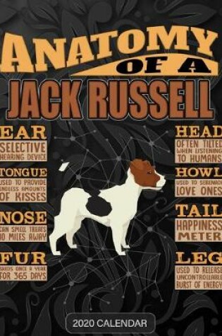 Cover of Anatomy Of A Jack Russell Terrier