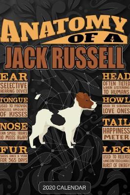 Book cover for Anatomy Of A Jack Russell Terrier