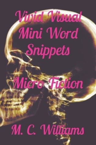 Cover of Vivid Visual Mini Word Snippets
