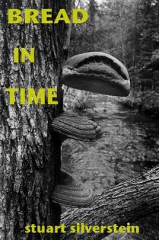 Cover of Bread In Time