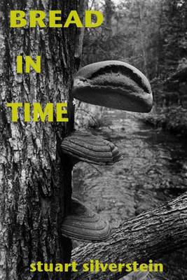 Book cover for Bread In Time