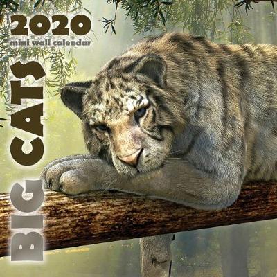 Book cover for Big Cats 2020 Mini Wall Calendar
