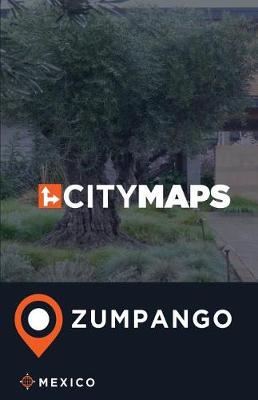 Book cover for City Maps Zumpango Mexico