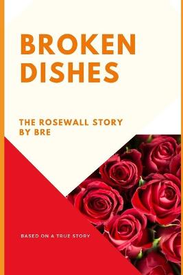 Book cover for Broken Dishes