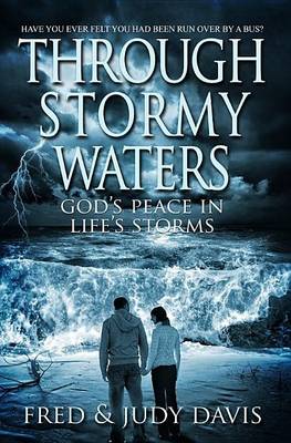 Book cover for Through Stormy Waters