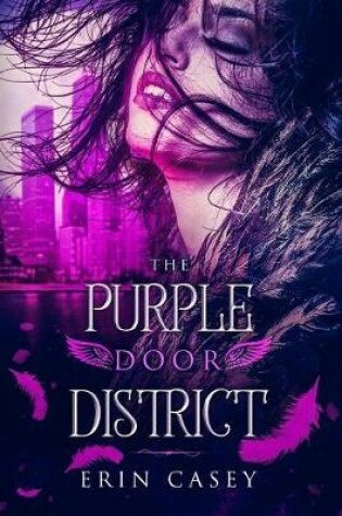Cover of The Purple Door District