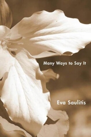 Cover of Many Ways to Say It