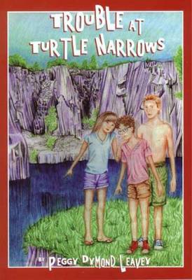Book cover for Trouble at Turtle Narrows