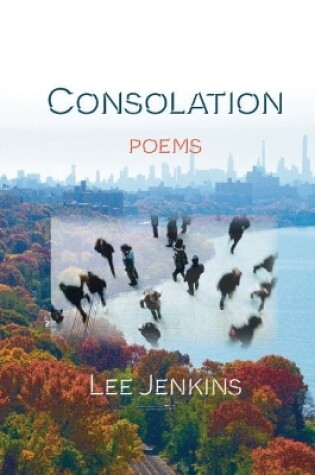 Cover of Consolation; Poems