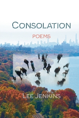 Book cover for Consolation; Poems