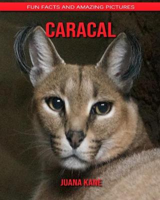 Book cover for Caracal