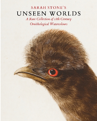 Book cover for Sarah Stone’s Unseen Worlds