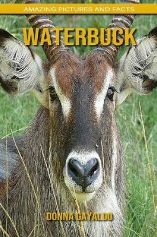 Cover of Waterbuck