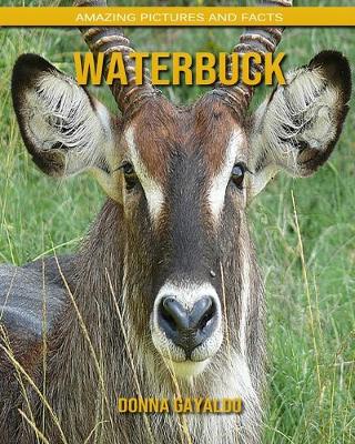 Book cover for Waterbuck