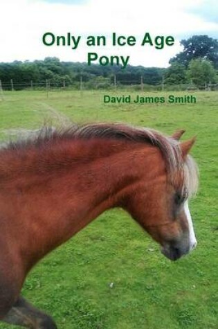 Cover of Only an Ice Age Pony