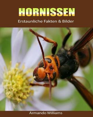 Book cover for Hornissen