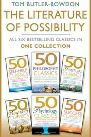 Cover of The Literature of Possibility
