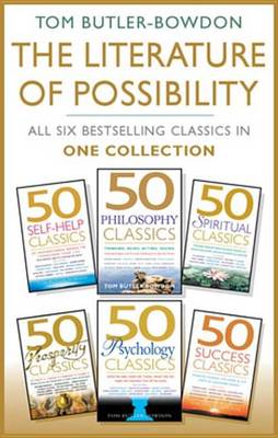 Book cover for The Literature of Possibility