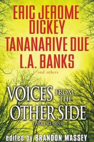 Cover of Voices from the Other Side