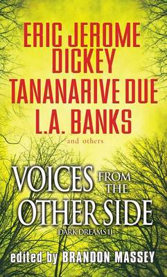Book cover for Voices from the Other Side