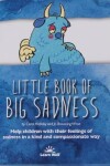 Book cover for The Little Book of Big Sadness