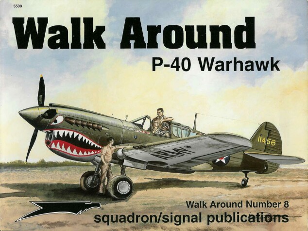 Book cover for P-40 Warhawk Walk Around