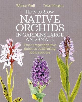 Book cover for How to Grow Native Orchids in Gardens Large and Small