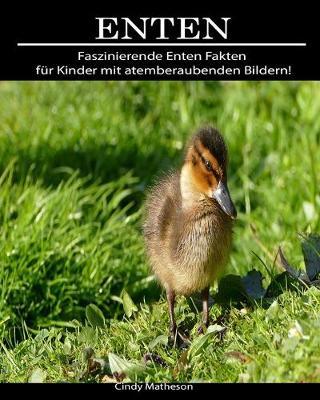 Book cover for Enten