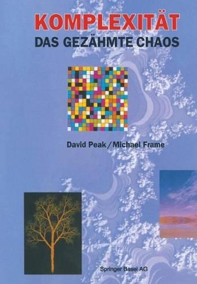 Book cover for Komplexität — das gezähmte Chaos