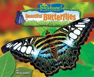 Cover of Beautiful Butterflies