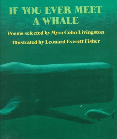 Book cover for If You Ever Meet a Whale