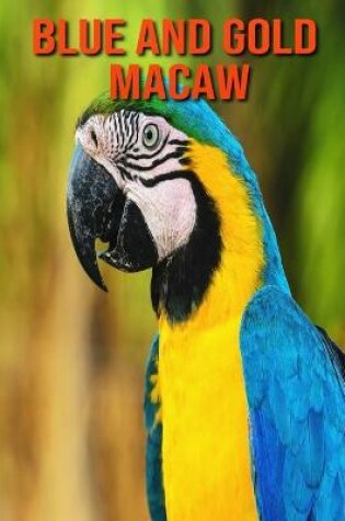 Cover of Blue and Gold Macaw