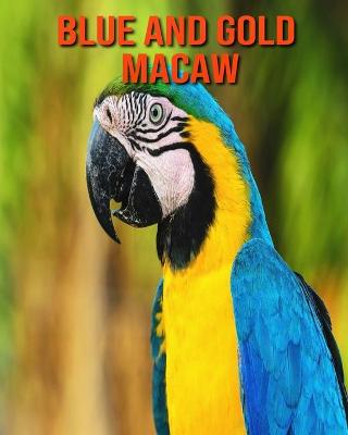 Book cover for Blue and Gold Macaw