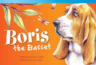 Book cover for Boris the Basset