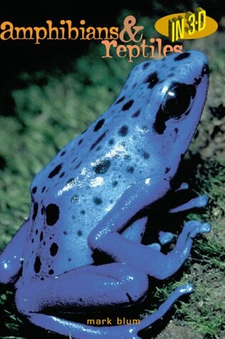 Cover of Amphibians and Reptiles in 3-D