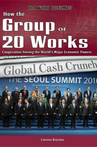 Cover of How the Group of 20 Works